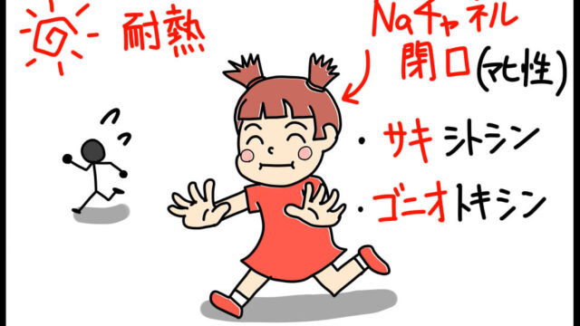 衛生学における麻痺性貝毒の特徴を暗記するためのゴロイラスト